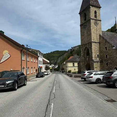 White Oak Schottwien