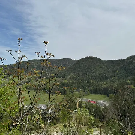 White Oak 公寓 Schottwien