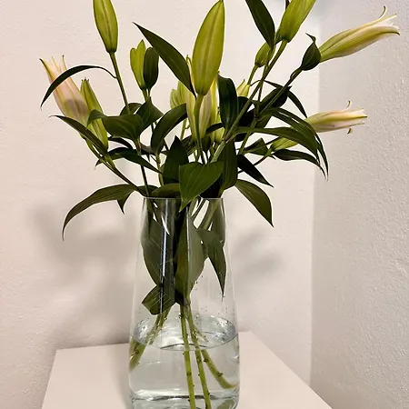 White Oak 公寓 Schottwien