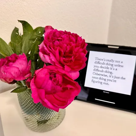 White Oak Schottwien