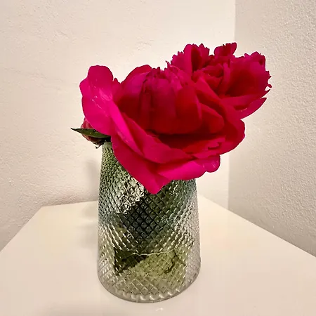 White Oak * Schottwien