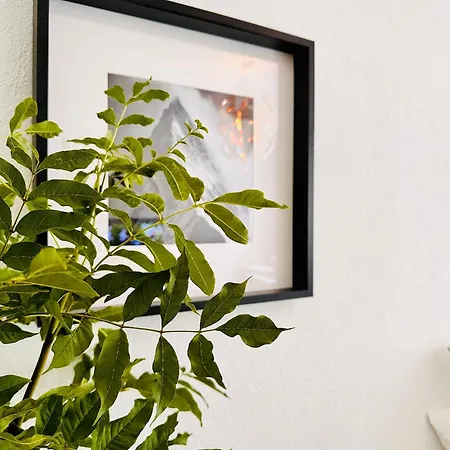 公寓 White Oak Schottwien