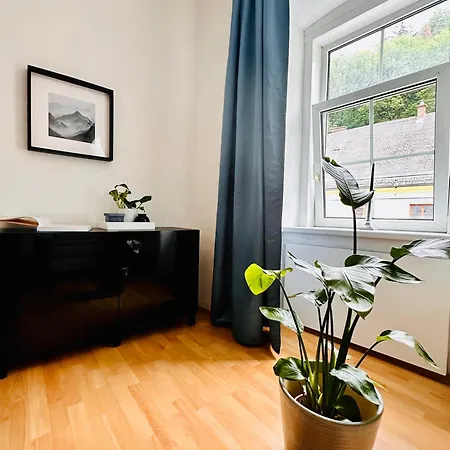 White Oak 公寓 Schottwien