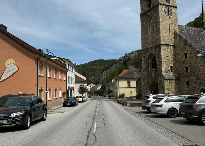 White Oak Schottwien