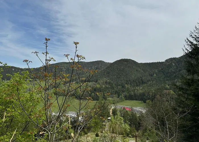 White Oak Lägenhet Schottwien