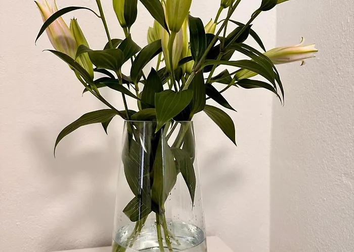 White Oak Lägenhet Schottwien