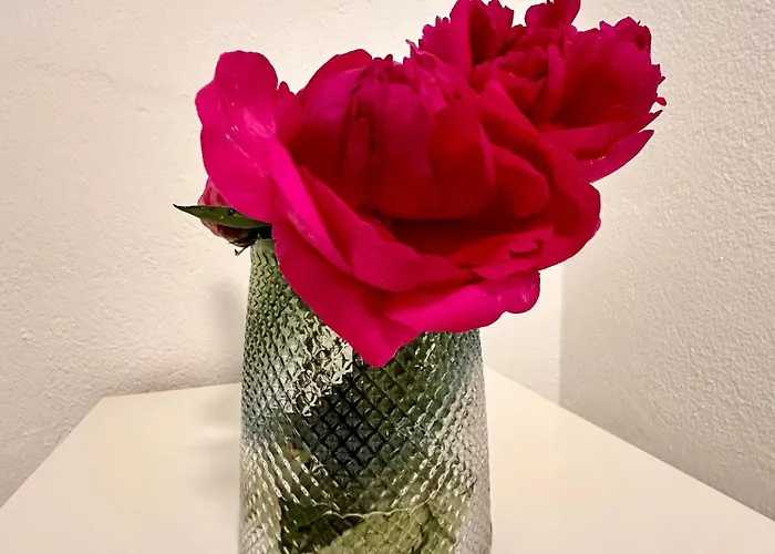 White Oak * Schottwien