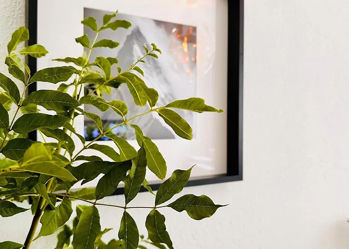 Lägenhet White Oak Schottwien