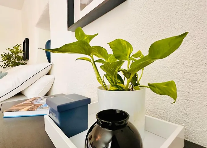 White Oak Schottwien